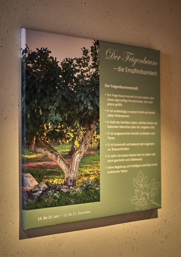 Zedernhof Gesundheits- & Wellnesshotel Stamsried Exteriör bild